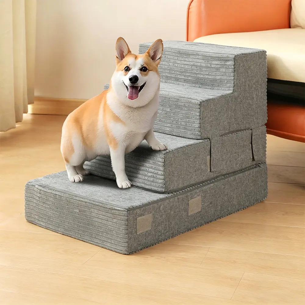 Aedificationem Clausus Pet scalae