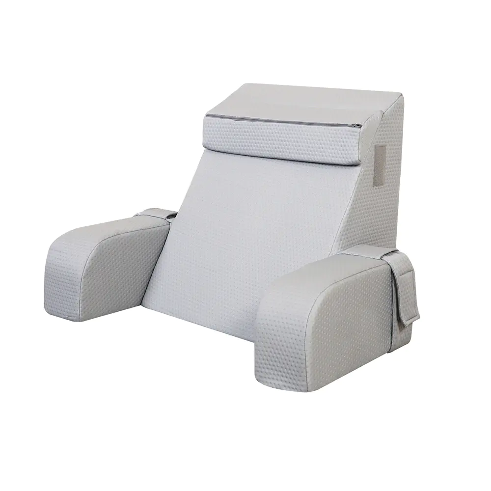 Multifunctional Lectio pulvinum