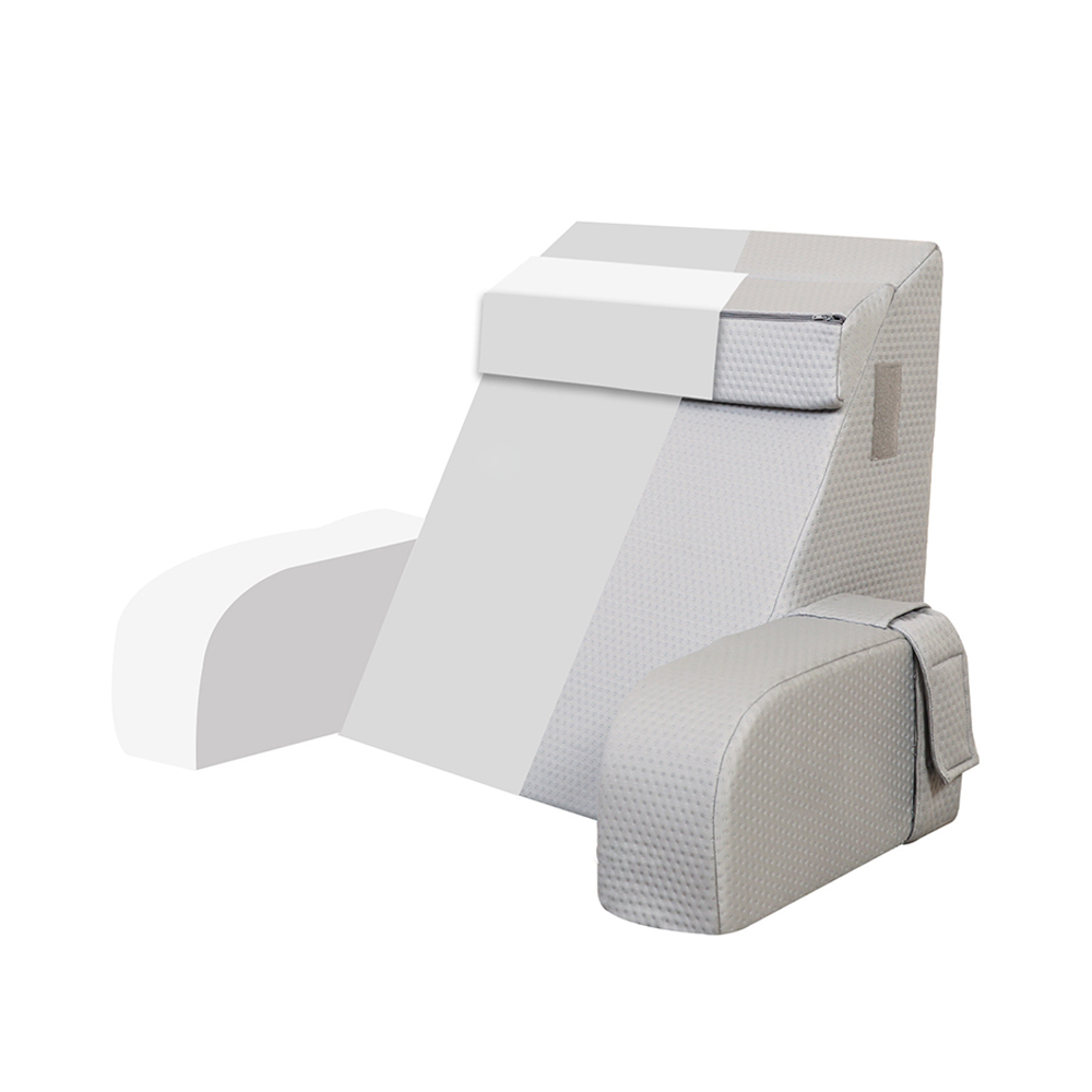 Multifunctional Lectio pulvinum